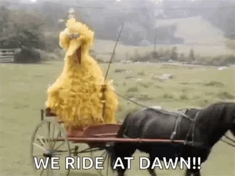 at dawn we ride meme|we ride at dawn gifs.